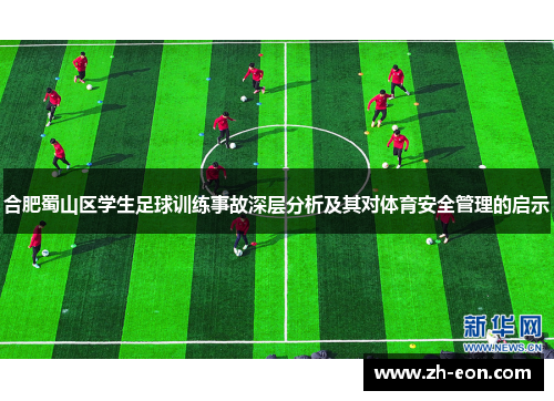 合肥蜀山区学生足球训练事故深层分析及其对体育安全管理的启示