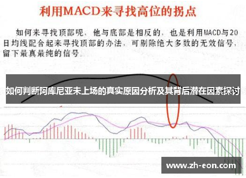 如何判断阿库尼亚未上场的真实原因分析及其背后潜在因素探讨 如何判断阿库尼亚未上场的真实原因分析及其背后潜在因素探讨