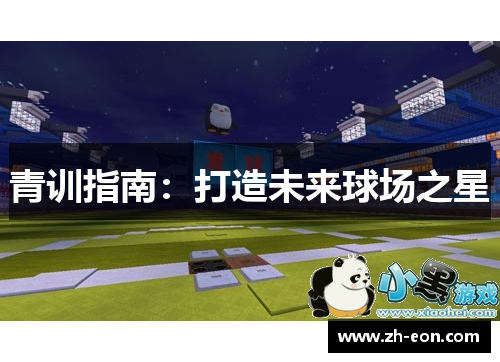 青训指南:打造未来球场之星 青训指南:打造未来球场之星