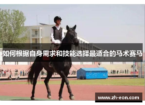 如何根据自身需求和技能选择最适合的马术赛马