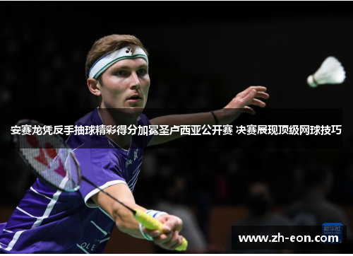 安赛龙凭反手抽球精彩得分加冕圣卢西亚公开赛 决赛展现顶级网球技巧