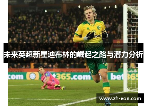 未来英超新星迪布林的崛起之路与潜力分析