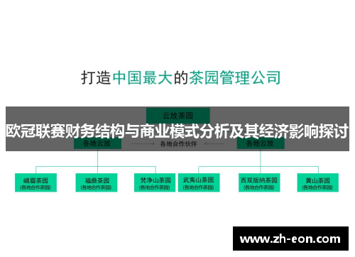 欧冠联赛财务结构与商业模式分析及其经济影响探讨